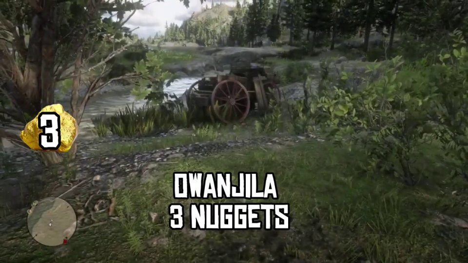Owanjila: 3 nuggets