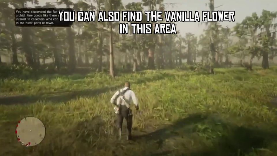 Vanilla flower