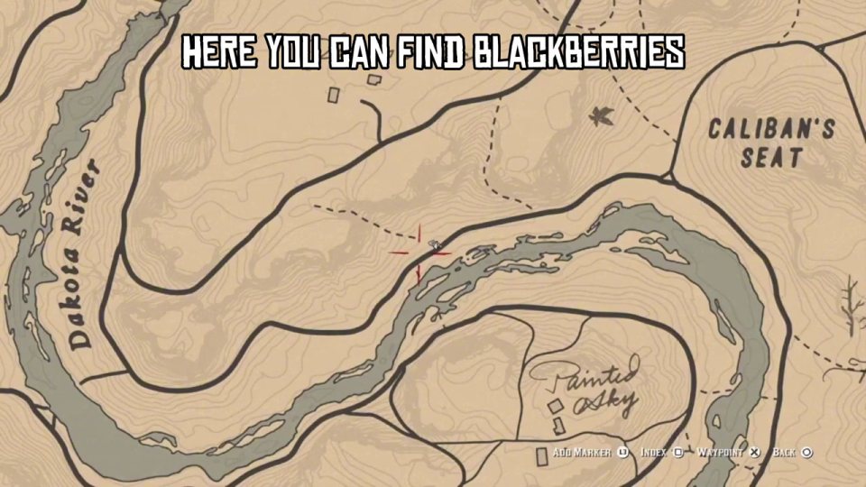 Blackberries