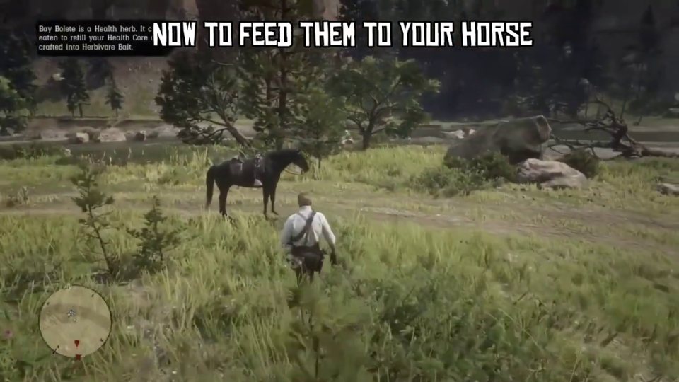 Feed them to your horse