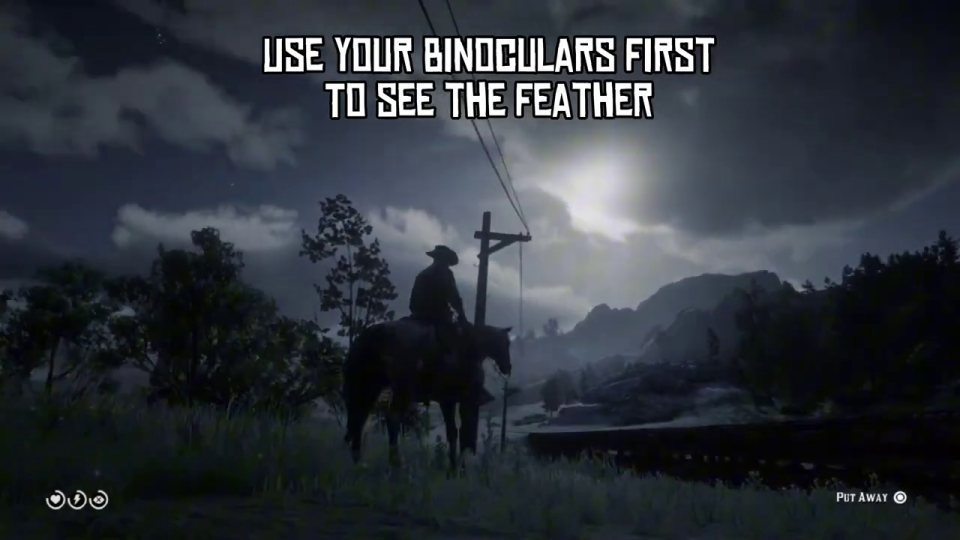 Find the feather with binoculars