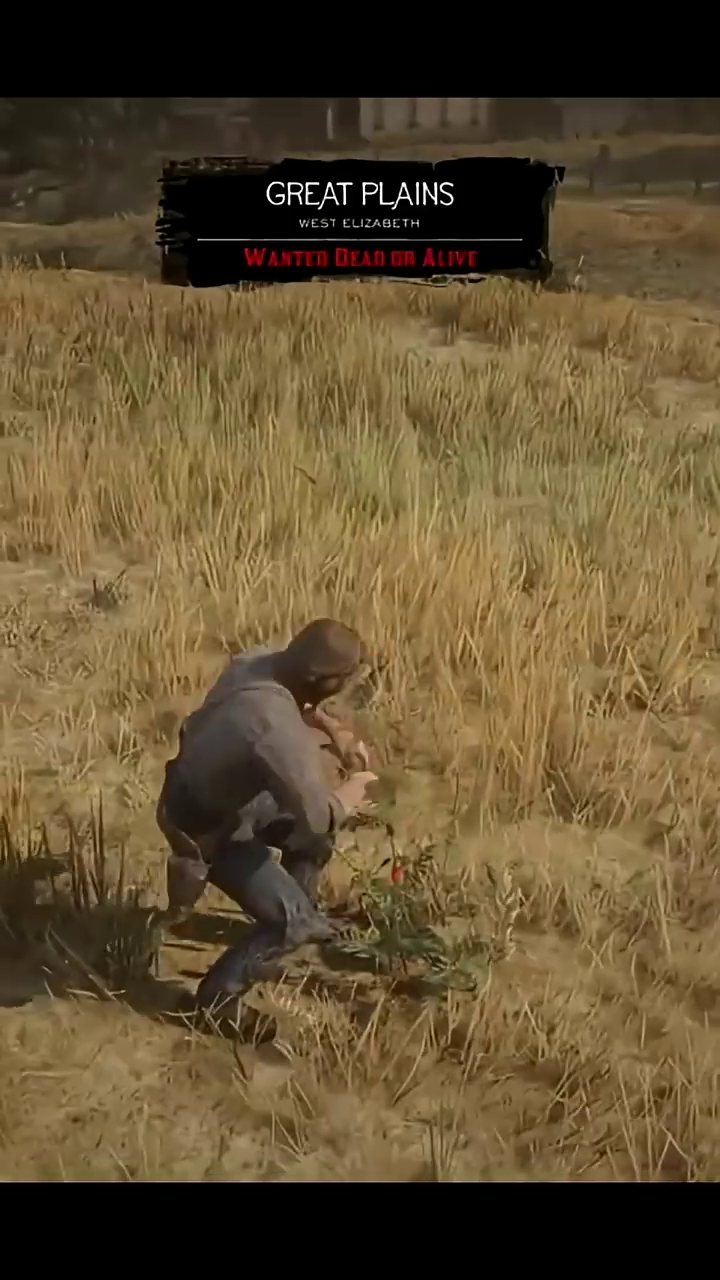 Pick the Prairie Poppy
