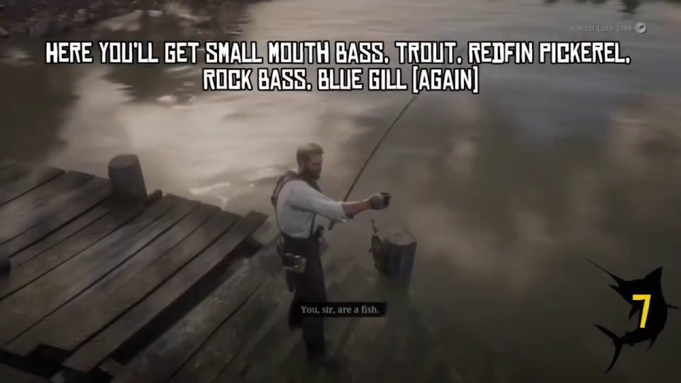 Next spot: bass, trout, pickerel