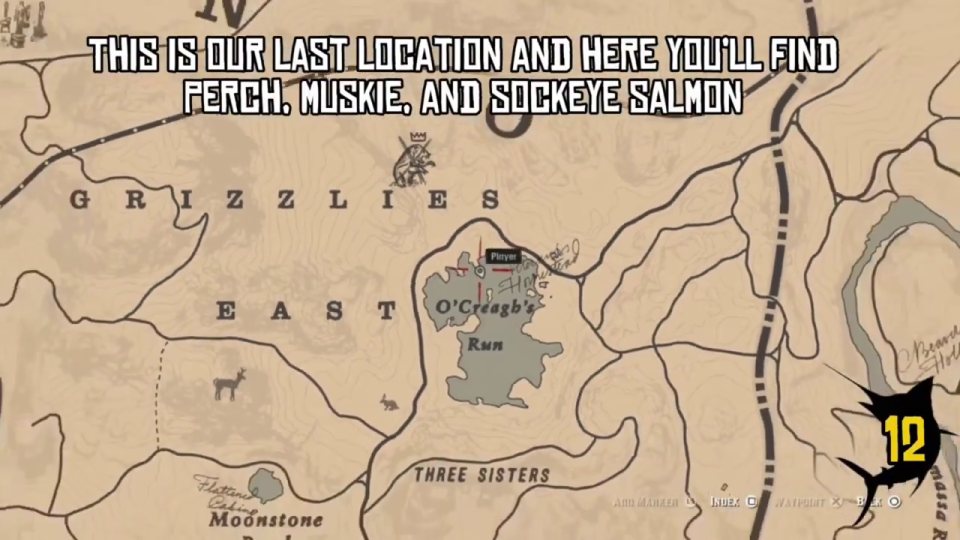 Last spot near Three Sisters: perch, salmon, muskie