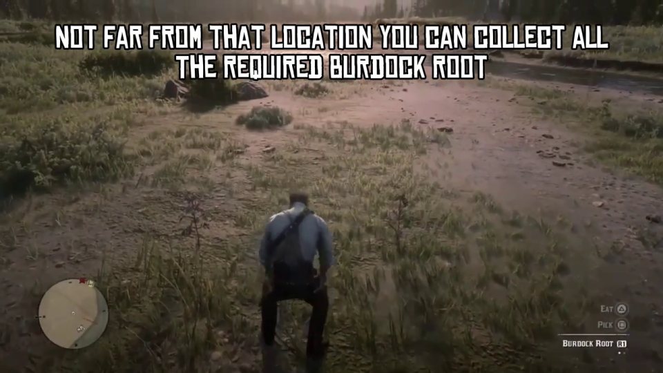 Pick 6 burdock root along the river