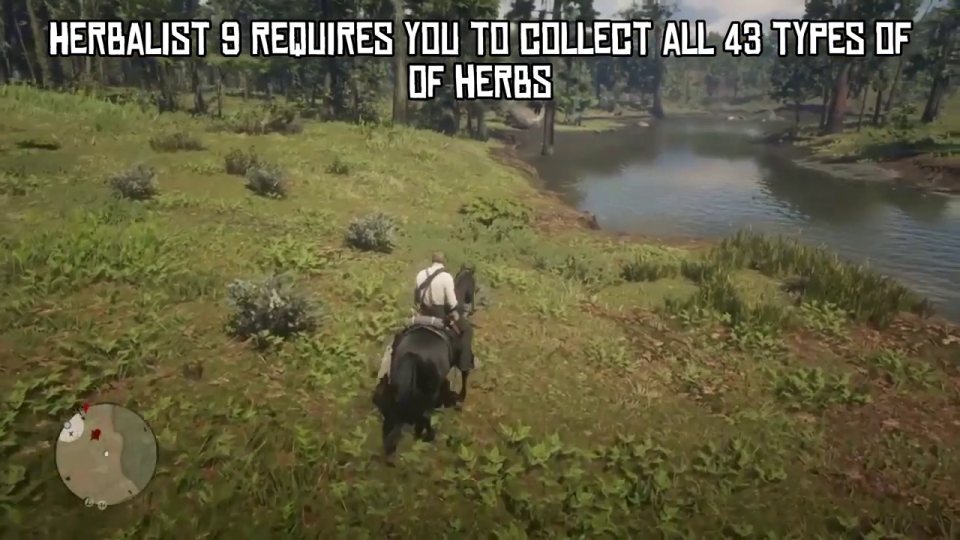 Herbalist 9: start in the first herb-rich area