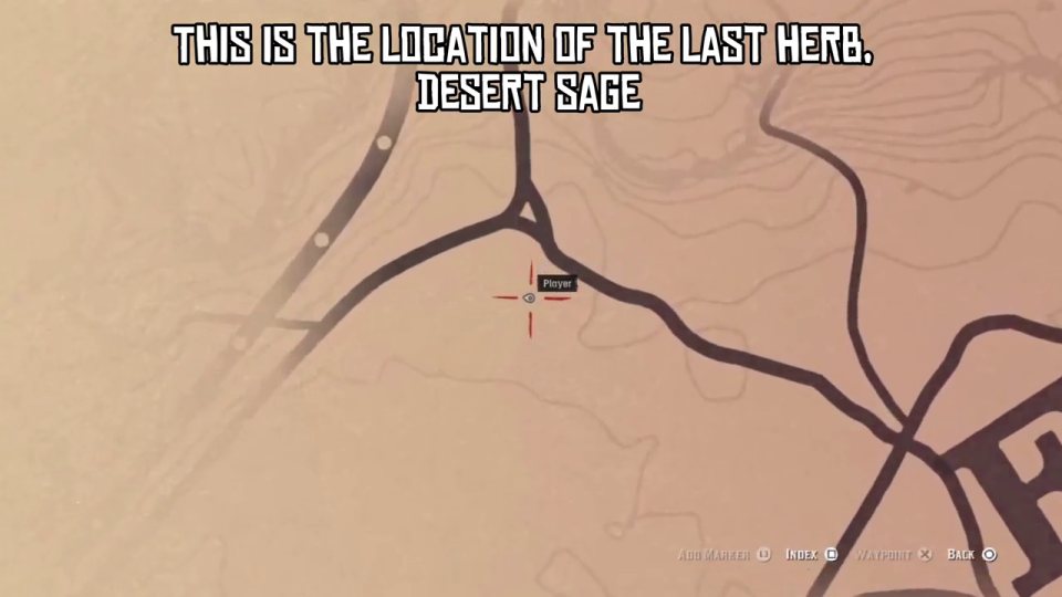 Desert sage - the last herb