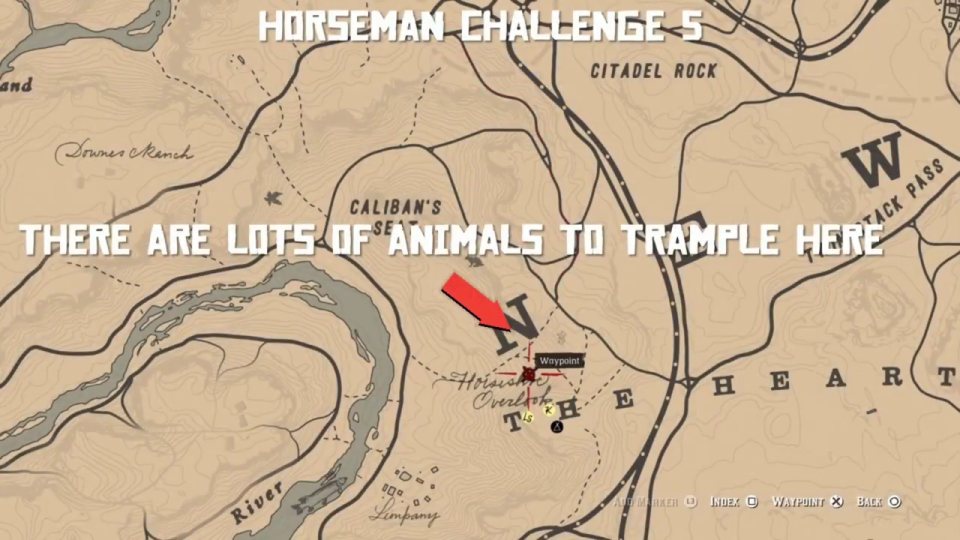 Horseman 5: trample 5 animals