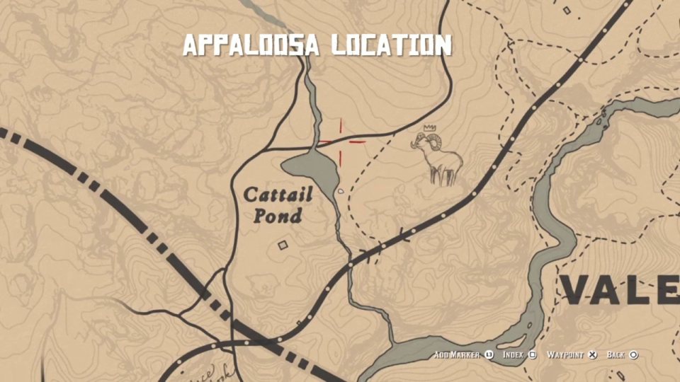 Appaloosa near Wallace Station