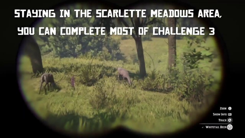 Master Hunter 3: track 10 species with binoculars