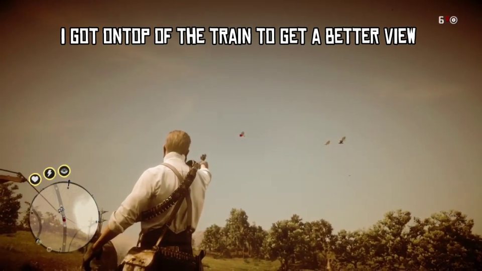 Shoot 5 birds from the moving train