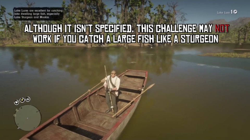 Catch a SMALL fish from the boat