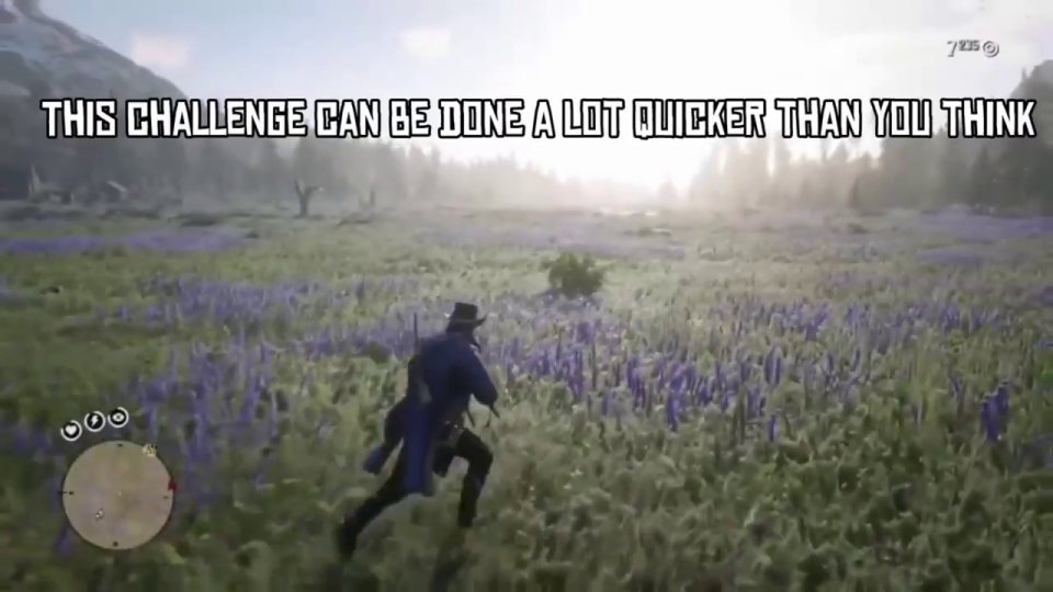 Survivalist 6: bait in Big Valley