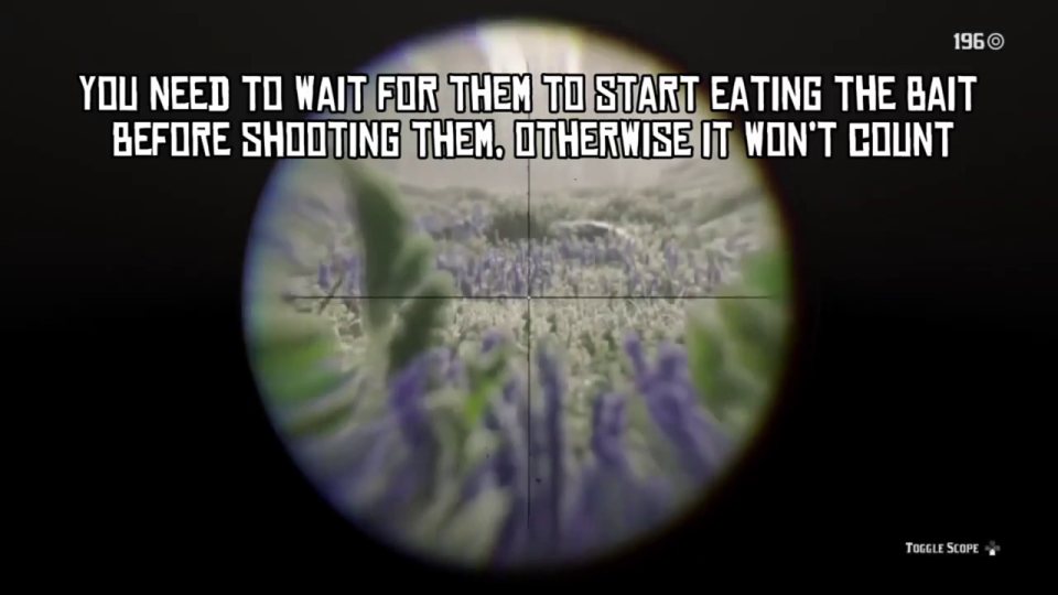 Shoot only once they are EATING