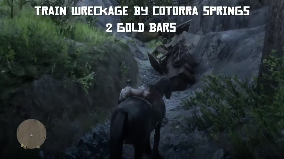 Train wreckage by Cotorra Springs