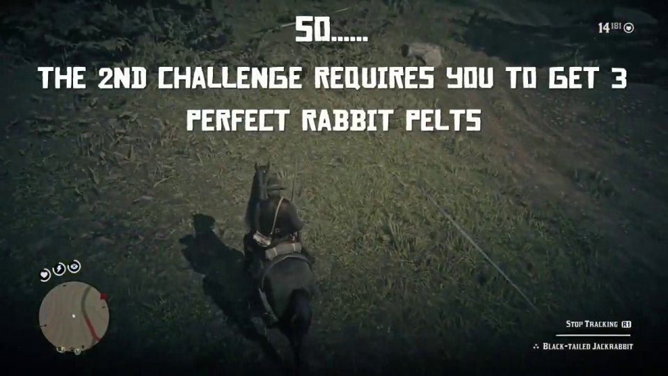 Master Hunter 2: 3 perfect rabbit pelts near Clemens Point