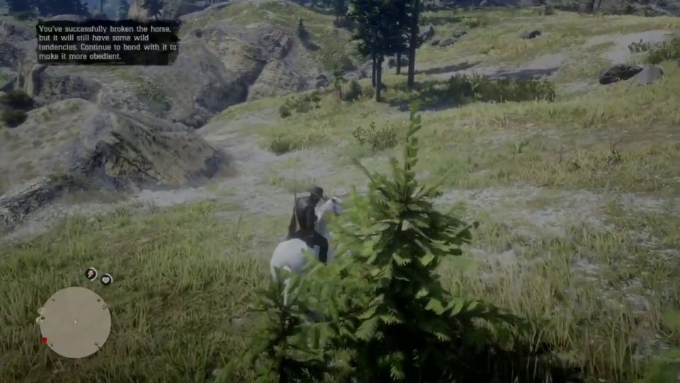 Stable and save
