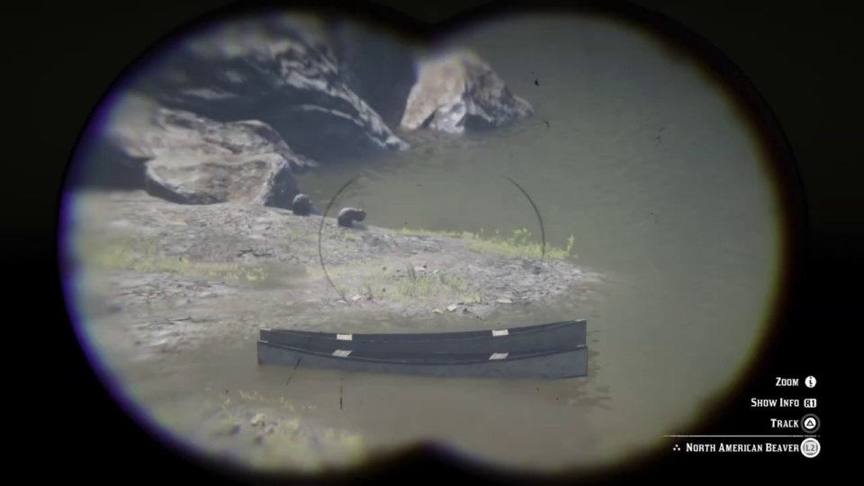 Beaver - always spawns here