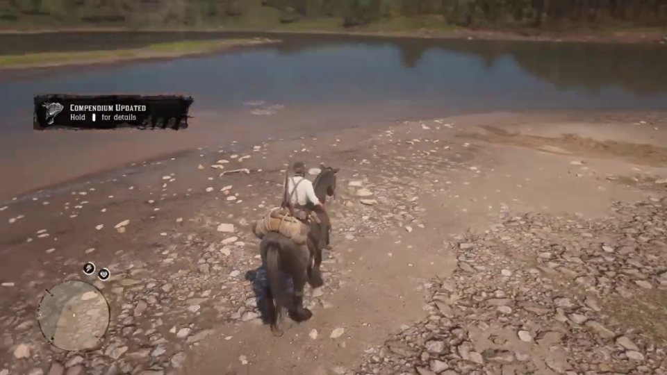 Panther with predator bait