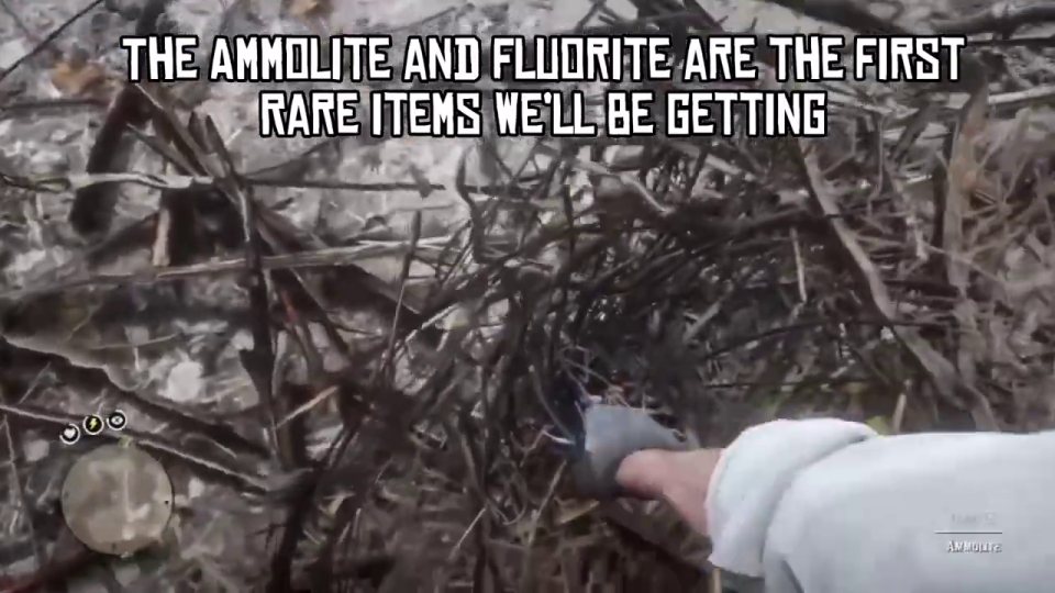 Ammolite: set your waypoint